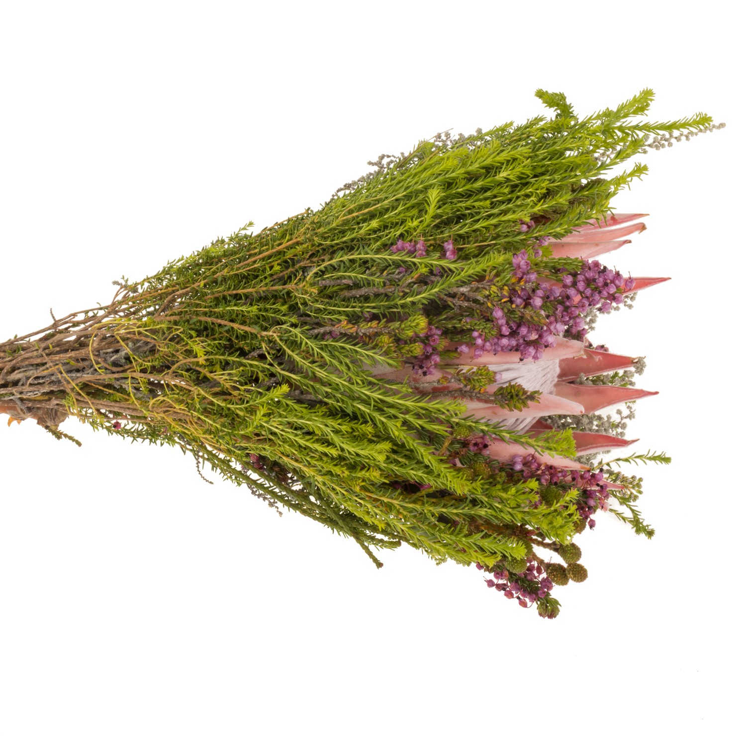 Bouquet mix 1 Protea King Included 40cm