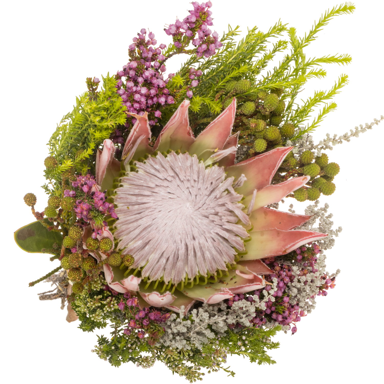 Bouquet mix 1 Protea King Included 40cm