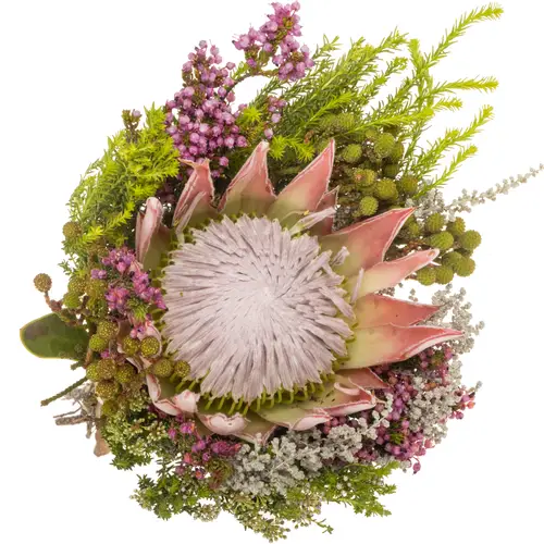 Bouquet mix 1 Protea King Included 40cm
